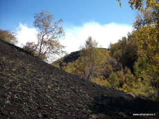 nte Corvo-01-11-2012 11-13-53